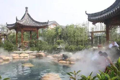 临沂温泉爆料事件视频最新,揭露背后惊人真相