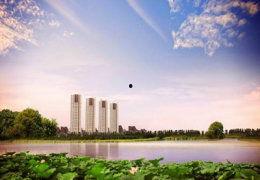 沈阳碧桂园爆料最新消息,揭秘项目进展与未来规划