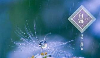 白露模型最新爆料,揭秘未来科技发展趋势