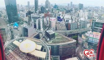 顺德街坊最新爆料,揭秘顺德最新热点事件