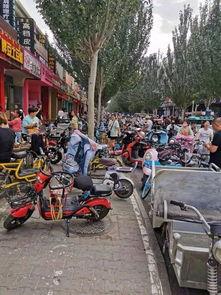 临河爆料后续情况最新,真相大白，事件走向揭秘