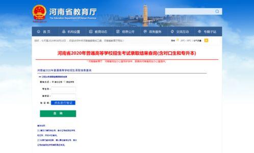 河南高招最新爆料消息查询,揭秘录取内幕与政策调整  第2张