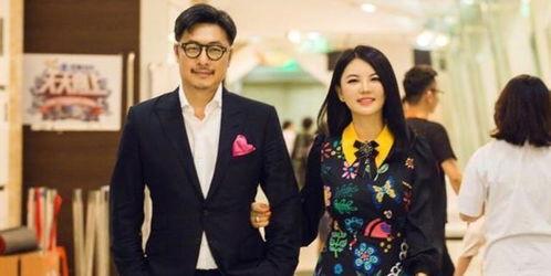 李湘王岳伦最新爆爆料,揭秘豪门夫妻的甜蜜与争议  第2张