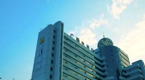 梅州最新爆料新闻事件,揭秘某重大事件背后真相  第3张