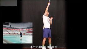 杨晨大神爆料最新视频,行业动态与独家爆料大揭秘