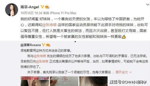 何小姐被爆料视频大全最新,揭秘网络爆料背后的真相与争议  第1张