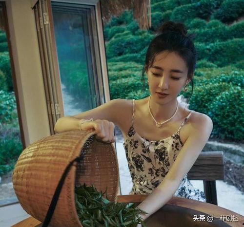 7月娱乐圈大爆料最新的  第3张