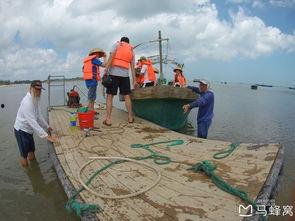 海南赶海爆料网站大全最新,探索海滩的秘密宝藏  第1张