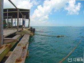 海南赶海爆料网站大全最新,探索海滩的秘密宝藏  第3张