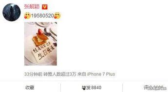 鸣妈最新消息爆料,揭秘明星家庭幕后故事  第3张