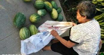 汾阳吃瓜最新事件爆料,揭秘背后惊人真相  第2张